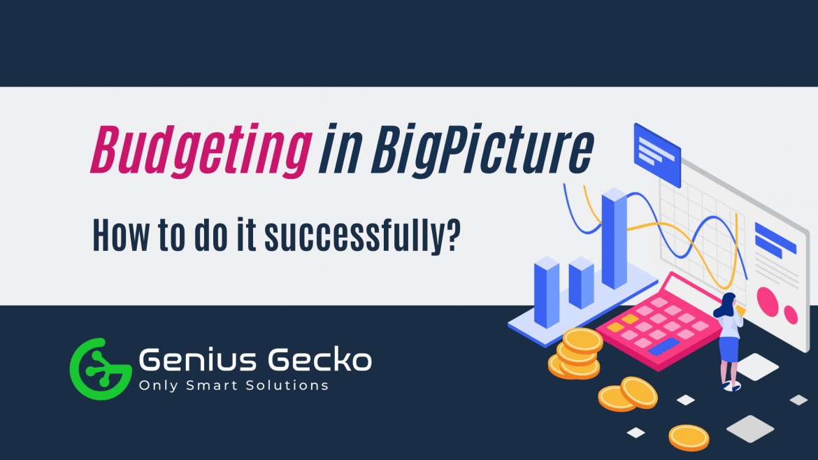 Successful budgeting in BigPicture